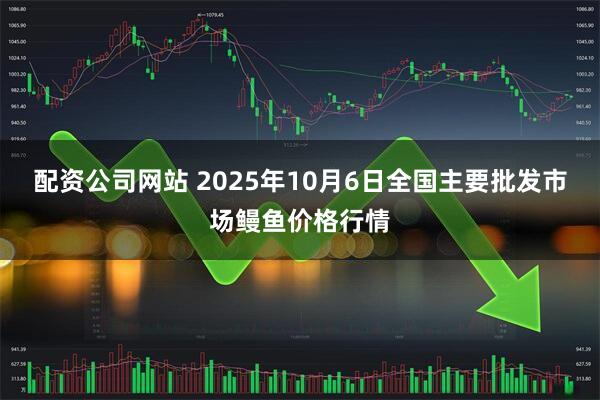 配资公司网站 2025年10月6日全国主要批发市场鳗鱼价格行情