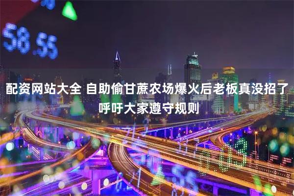配资网站大全 自助偷甘蔗农场爆火后老板真没招了 呼吁大家遵守规则